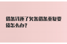 肇源肇源的要账公司在催收过程中的策略和技巧有哪些？